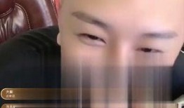 娱乐大爆料散打哥小说,散打哥小说中的江湖风云